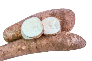 Cassava tüpleri ve dilimlenmiş beyaz, üst tarafta manyok yığını, un ürünleri için yukka kökü, tapyoka nişastası endüstrisi için hammaddeler, tüpler tapyoka veya manyok kökü, manyok manioc mantarı.