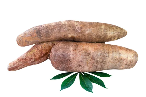 Cassava Κόνδυλοι Νωποί Φύλλα Που Απομονώνονται Λευκά Σωρός Μανιόκας Cassava — Φωτογραφία Αρχείου