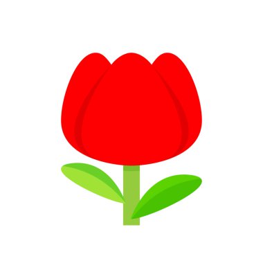 Lale çiçeği kırmızısı, beyaz arka planda izole edilmiş, lale kırmızısı çizgi film klipsli sanat için, lale çiçeği.