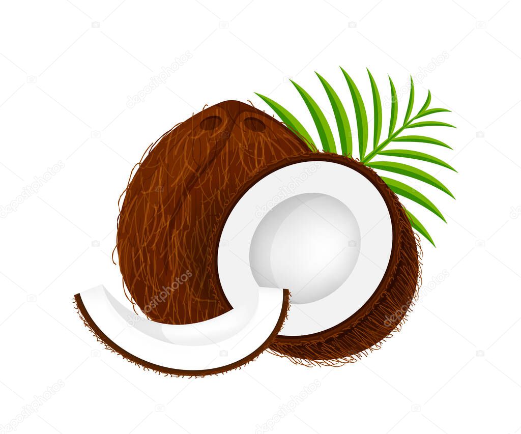 coconut half slice on leaf green, coconut brown fruit half cut isolated on white, illustration coconut half slice for clip art, coconut freshness fruit simple for icon