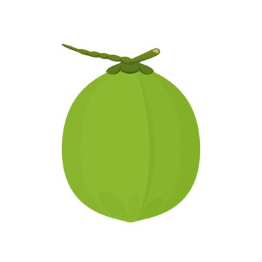 Beyaz arka planda izole edilmiş hindistan cevizi yeşili sağlıklı yemek menüsü meyve suyu Hindistan cevizi yaz meyvesi konsepti kırpma sanatı için yeşil hindistan cevizi.