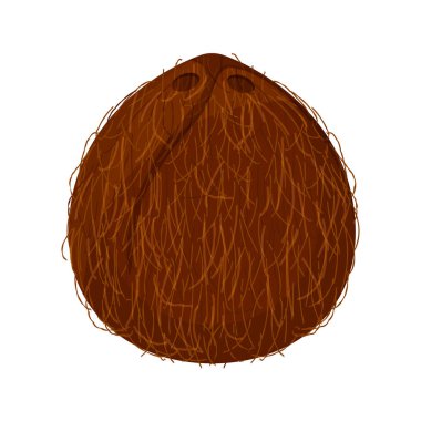 Hindistan cevizi kahverengi meyvesi beyaz arka planda izole edilmiş, illüstrasyon hindistan cevizi kahverengisi klipsli sanat için, hindistan cevizi simgesi ise simge için basit