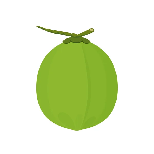 ココナッツフレッシュ若い白の背景に隔離され 健康的な食品メニューのためのイラストココナッツグリーンフルーツジュース ココナッツ夏の果物のコンセプト クリップアートのための緑のココナッツシンプルな — ストックベクタ