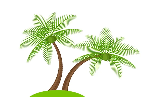 Dos Cocoteros Simples Aislados Blanco Palmera Coco Ilustración Árbol Coco — Vector de stock