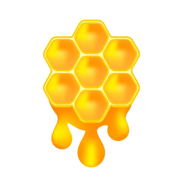 Honingbij Druppels Geïsoleerd Wit Honingdruppels Honingraat Symbool Pictogram Honing Zeshoek — Stockvector