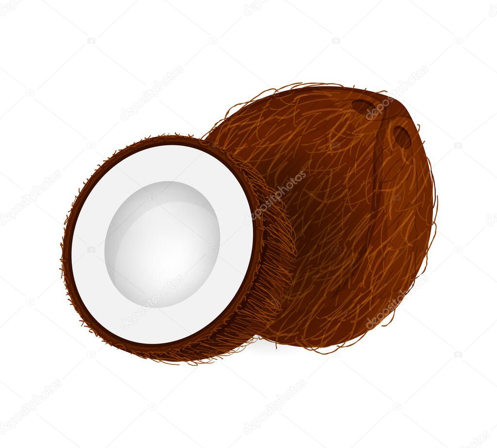 coconut brown fruit and half cut isolated on white background, illustration coconut brown half slice for clip art, coconut simple for icon