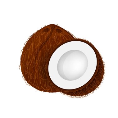 Hindistan cevizi kahverengi meyvesi ve yarısı beyaz arka planda izole edilmiş, görüntü hindistan cevizi kahverengi yarım dilim klipsli sanat için, hindistan cevizi ise simge için basit