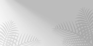 Hindistan cevizi yaprağı grisi ve arka plan için güneş ışığı, duvarda gölge ağacı yaprakları, güneş ışığıyla birlikte çiçek yaprakları grisi, resimli doğa yaprağı deseni gri duvarda parlıyor.