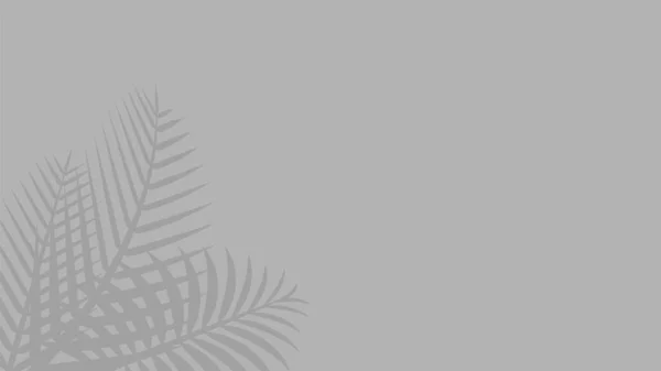 Kokosnussblatt Grau Für Hintergrund Schatten Palmblätter Der Wand Blumen Natürliche — Stockvektor