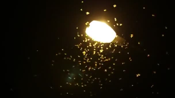 夜间在光中飞来飞去 — 图库视频影像