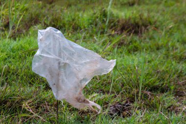 Çimlerin üzerinde plastik çöp torbaları, yerdeki plastik atıklar çimenler, çöpler, çöpler, atıklardan gelen kirlilik