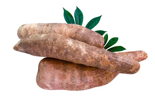 Cassava Κόνδυλοι Νωποί Φύλλα Που Απομονώνονται Λευκά Σωρός Μανιόκας Cassava — Φωτογραφία Αρχείου