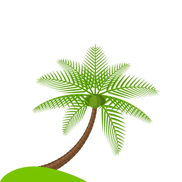 Kokosnoot Boom Eenvoudig Geïsoleerd Wit Illustratie Kokosnoot Palmboom Kokosnoot Boom — Stockvector