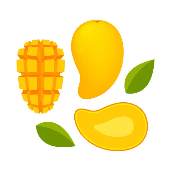 Mango Reif Und Scheibe Isoliert Auf Weißem Hintergrund Gelbe Mango — Stockvektor