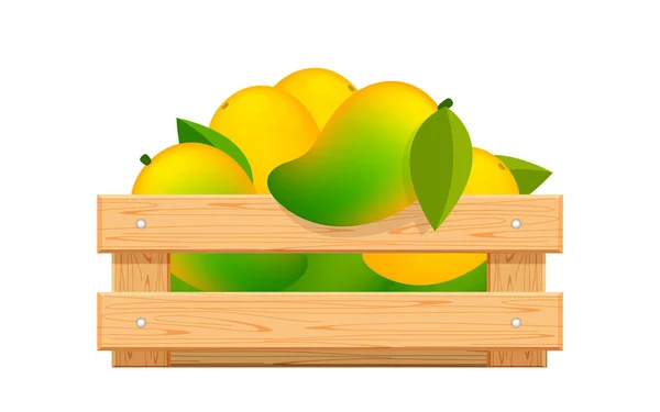 Dojrzałe Mango Skrzynce Drewnianej Izolowane Białym Mango Owoce Opakowania Drewnianej — Wektor stockowy