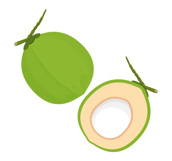 Young green coconut Vector Art Stock Images | Depositphotos Young green coconut Vector Art Stock Images | Depositphotos