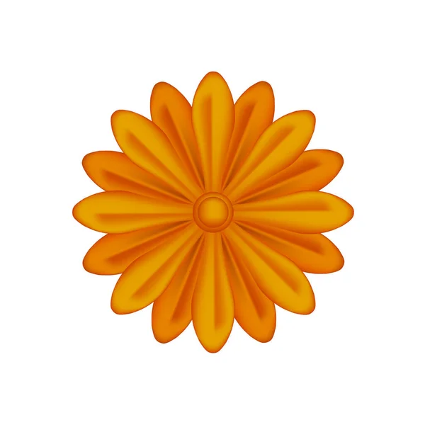 Flores Individuales Cobre Adornado Aislado Sobre Fondo Blanco Pétalo Flor — Vector de stock