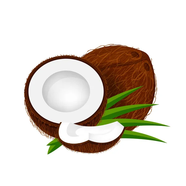 椰子片在叶绿色上 椰子褐色水果片在白色上分离 椰子片在剪贴画艺术上 椰子新鲜水果简单作图标 — 图库矢量图片