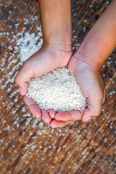 grain of rice in the hands farmer, rice white grain in handful, organic rice of asia