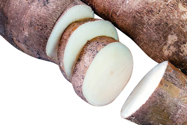 Cassava Hlízy Plátky Izolované Bílo Piliny Cassava Manioc Pohledu Shora — Stock fotografie