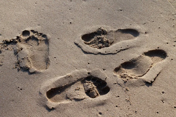 footprint on sand beach, travel in summer concept, foot print at sandy