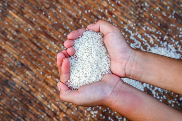 grain of rice in the hands farmer, rice white grain in handful, organic rice of asia