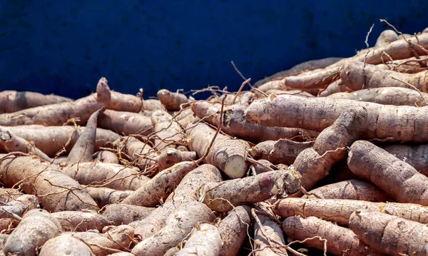 Σωρός Cassava Στο Φορτηγό Pickup Cassava Για Βιομηχανία Αλεύρου Tapioca — Φωτογραφία Αρχείου