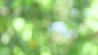 yumuşak yeşil doğal bokeh arkaplan, bulanık doğa, arka plan için doğal yeşil bokeh ışığı, yaz arkaplanı için ideal, ve parlak, taze ve organik arkaplan gerektiren yaratıcı projeler