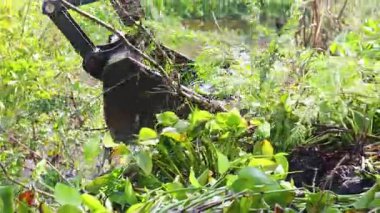 Excavator removing water hyacinth and aquatic weeds from polluted canal, river pollution, restoring water quality, cleaning waterway in river, solving environmental problems sustainably