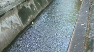 water in a concrete drainage channel, representing wastewater management, polluted water, environmental issues, urban drainage system, concrete channel for waste water treatment, sewage treatment