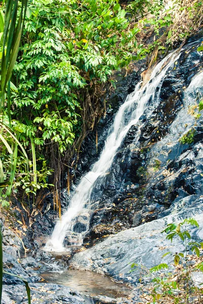 Cascada en bosque lluvioso verde profundo en el río de montaña — Foto de Stock