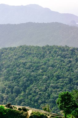 Tropikal dağlar rainforest perspektif görünüm, Langkawi Adası, Malezya ile kaplı