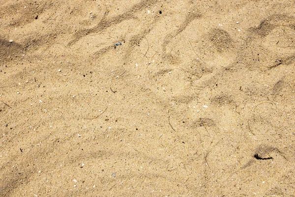 Close Van Zand Patroon Van Een Strand Zomer Achtergrond — Stockfoto