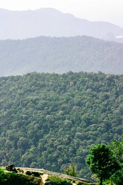 Tropikal dağlar rainforest perspektif görünüm, Langkawi Adası, Malezya ile kaplı