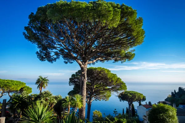 Ravello, panoramautsikt över Amalfikusten, — Stockfoto