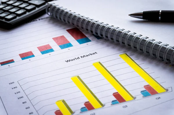 Balance sheet in stockholder report book, balance sheet is mock-up. Financial income statement.