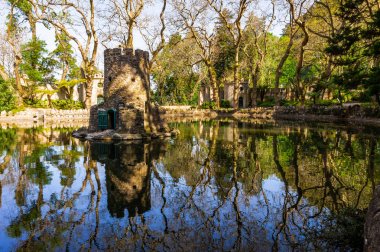 Pena Bahçeleri'nde Yeşillik, Sintra, Portekiz. Park ve Pena Milli Sarayı