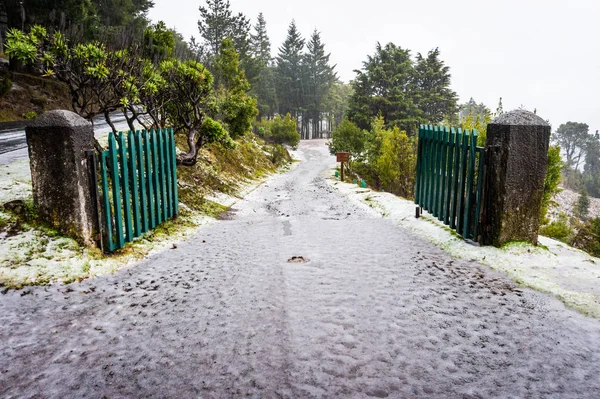 Dickes Eis und Schnee auf der Straße nach pico ruivo, Madeira — Stockfoto