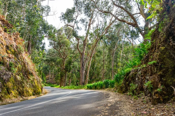 Madeira Adası, Portekiz boş tipik yol — Stok fotoğraf