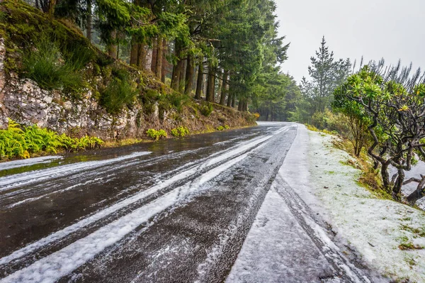 Schlechtes Wetter mit Schnee auf der Straße nach pico ruivo, Madeira — Stockfoto