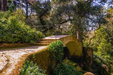 Yemyeşil ağaçlarda köprü ve Sintra, Portekiz yaprakları.
