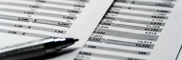 Balance sheet in stockholder report book, accounting balance sheet is mock-up