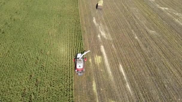 Colheita de milho com máquinas de cima para baixo tiro aéreo no outono — Vídeo de Stock