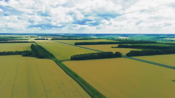 Kırsal kırsal arazide havadan drone ileri hareket görünümü — Stok video