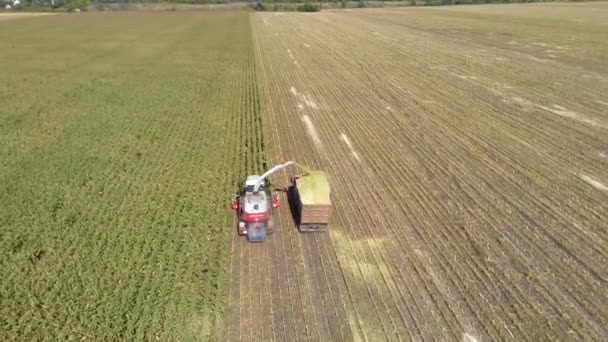 Corn harvesting with machinery from aerial top down shot — Stock Video