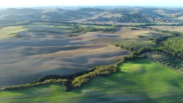 Hava görüntüleri, Tuscany, İtalya 'da günbatımında muhteşem üzüm bağları. — Stok video