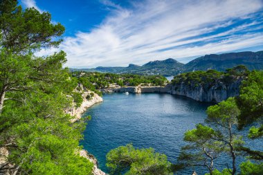 Ormandan harika bir manzara, Cassis balıkçı köyü yakınlarındaki Calanques Ulusal Parkı, Provence