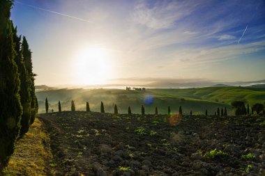 Tuscany 'de gündoğumunda selvi kadının, yeşil tarlaların ve çayırların güzel manzarası