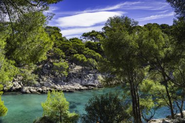 Ormandan harika bir manzara, Cassis balıkçı köyü yakınlarındaki Calanques Ulusal Parkı, Provence