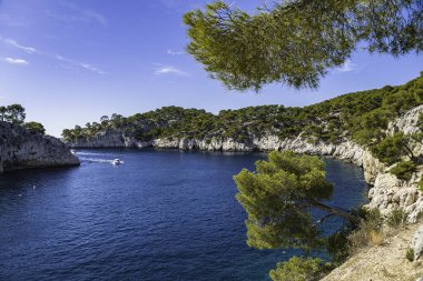 Calanques Ulusal Parkı, Provence, Fransa 'daki Calanque de Pin' in panoramik manzarası.